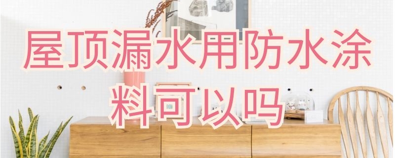 屋顶漏水用防水涂料可以吗